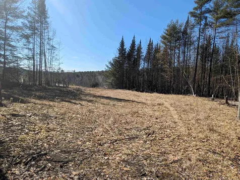 147 Buck Ridge Road Lisbon NH 03585