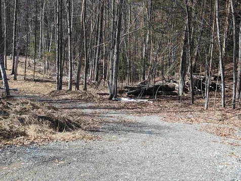 147 Buck Ridge Road Lisbon NH 03585