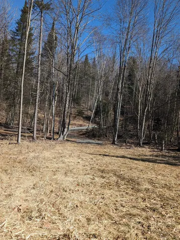147 Buck Ridge Road Lisbon NH 03585