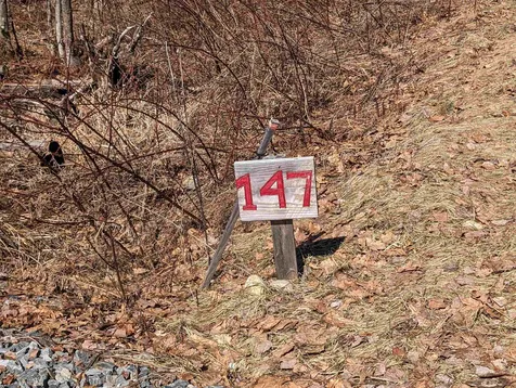 147 Buck Ridge Road Lisbon NH 03585