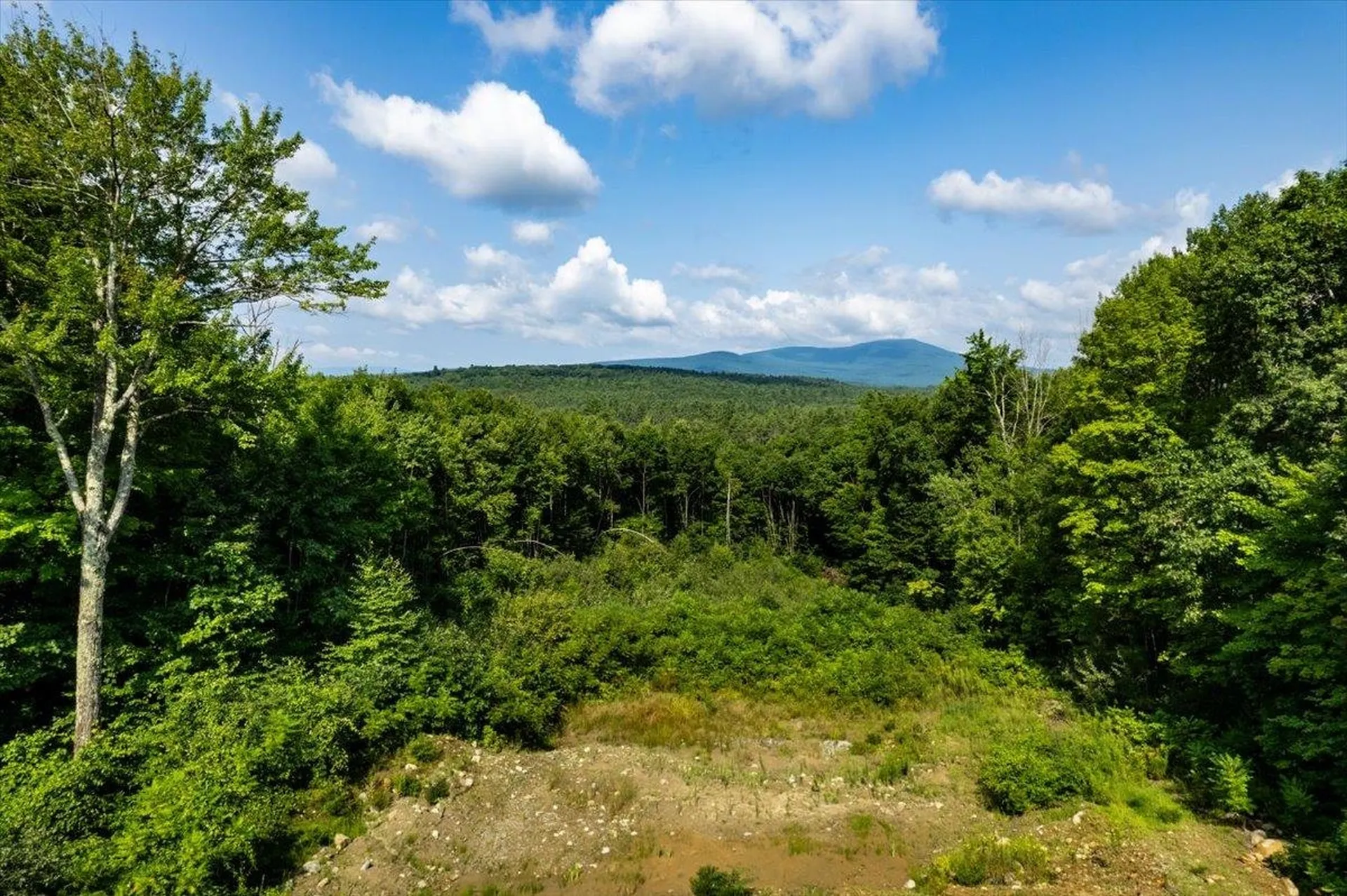 3-121 Battle Street Webster NH 03303