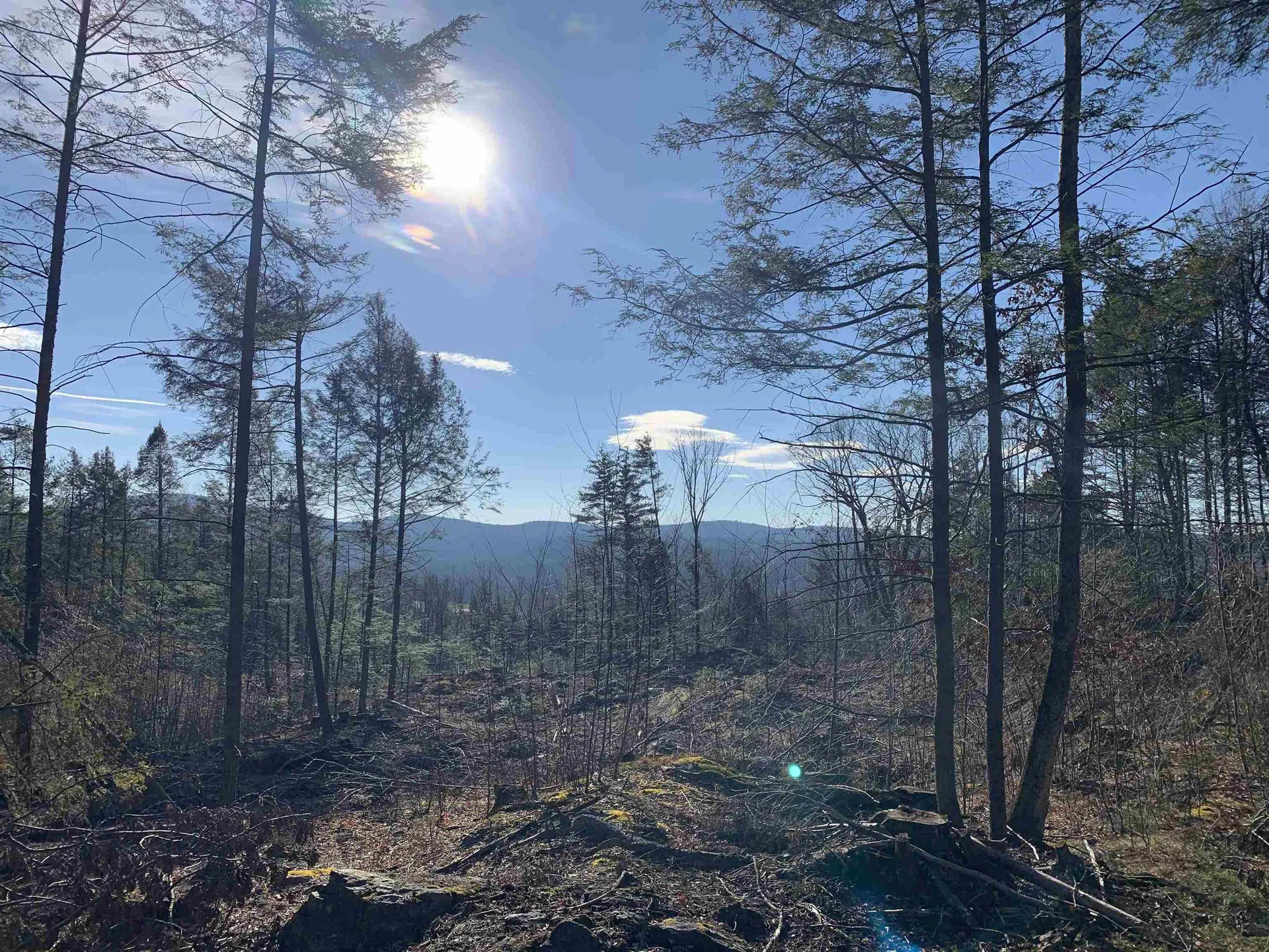 MAP3 Lot9-1 Scotland Road Winchester NH 03470