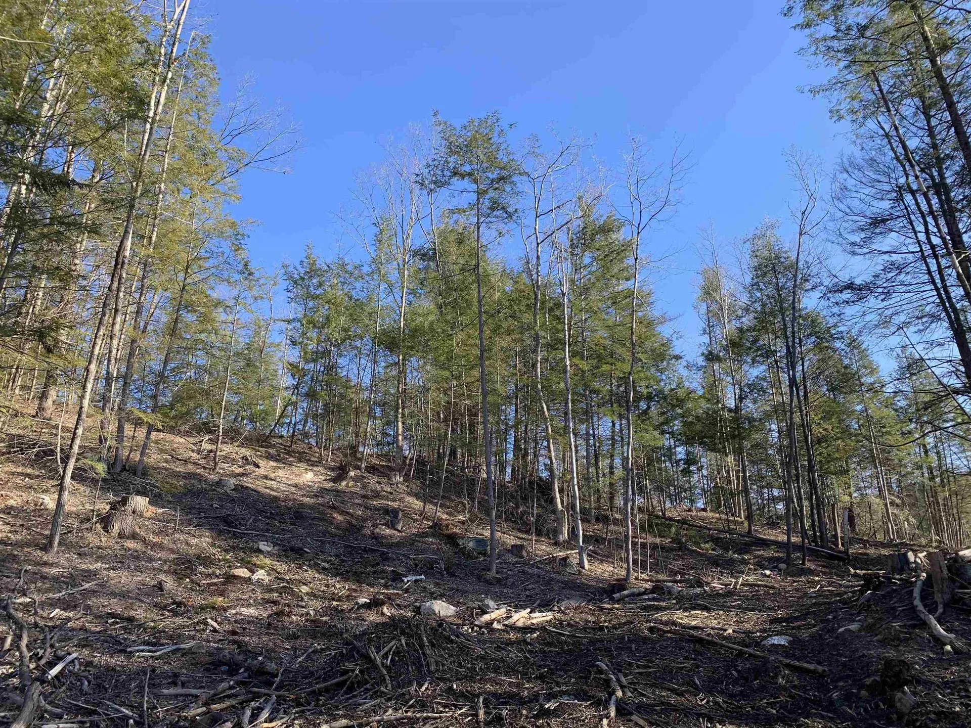 MAP3 Lot9-3 Scotland Road Winchester NH 03470