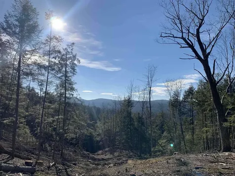 MAP3 Lot9-3 Scotland Road Winchester NH 03470