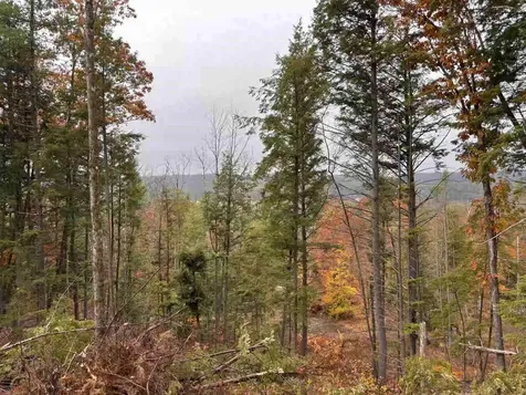 MAP3 Lot9-3 Scotland Road Winchester NH 03470