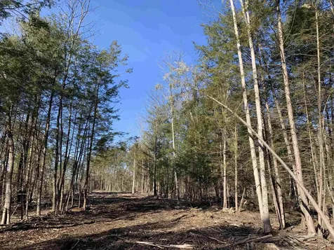 MAP3 Lot9-3 Scotland Road Winchester NH 03470