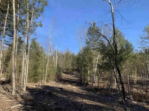 MAP3 Lot9-3 Scotland Road Winchester NH 03470