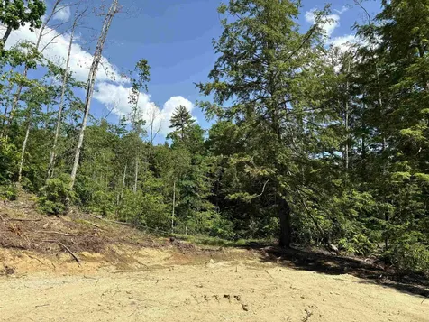 MAP3 Lot9-3 Scotland Road Winchester NH 03470