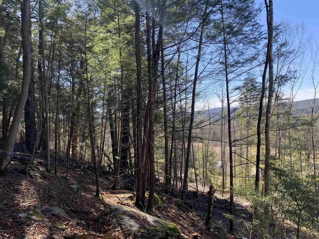 MAP3 Lot9 Scotland Road Winchester NH 03470