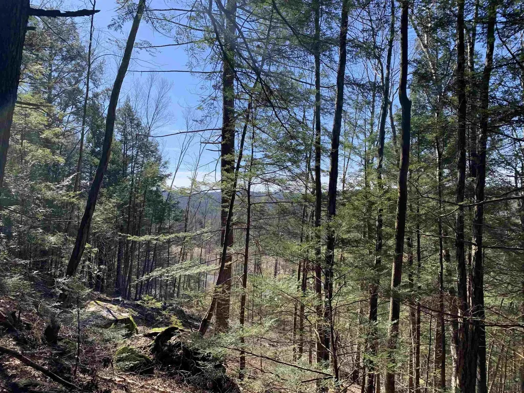 MAP3 Lot9 Scotland Road Winchester NH 03470