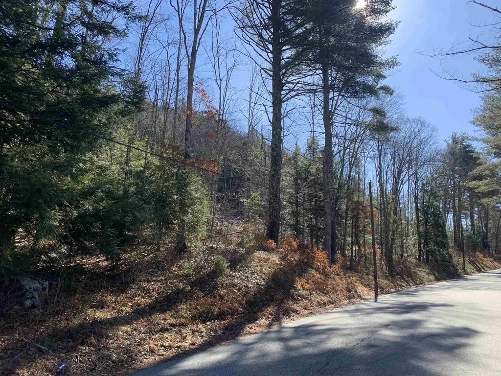 MAP3 Lot9 Scotland Road Winchester NH 03470
