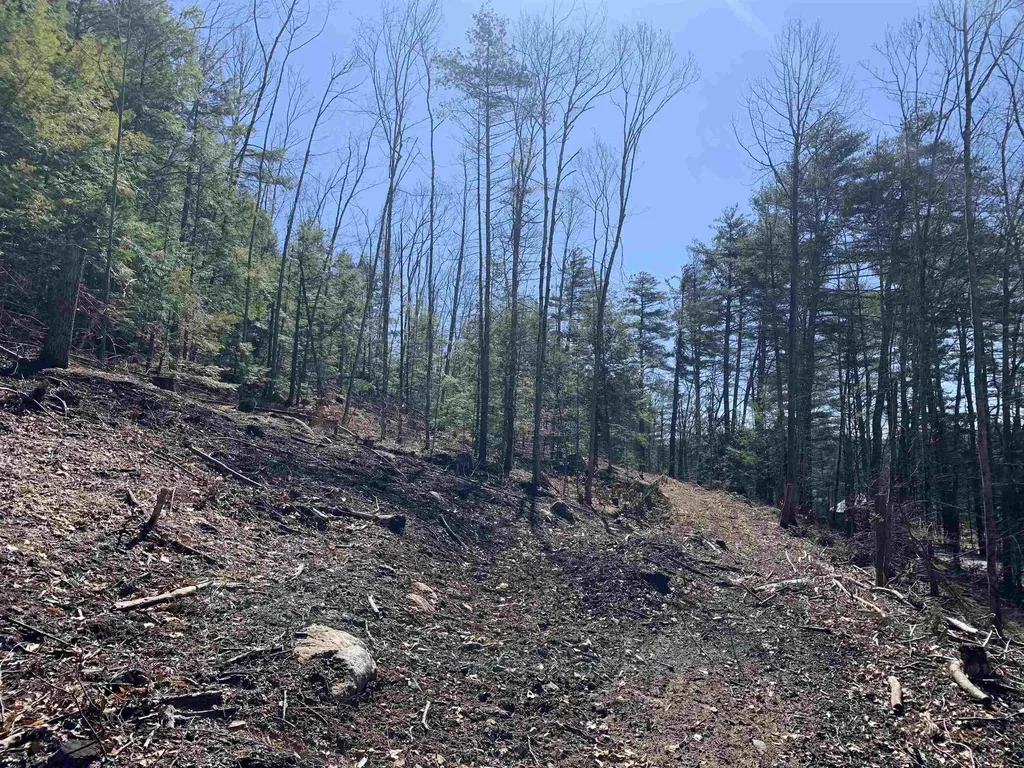 MAP3 Lot9 Scotland Road Winchester NH 03470