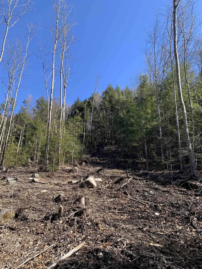 MAP3 Lot9 Scotland Road Winchester NH 03470