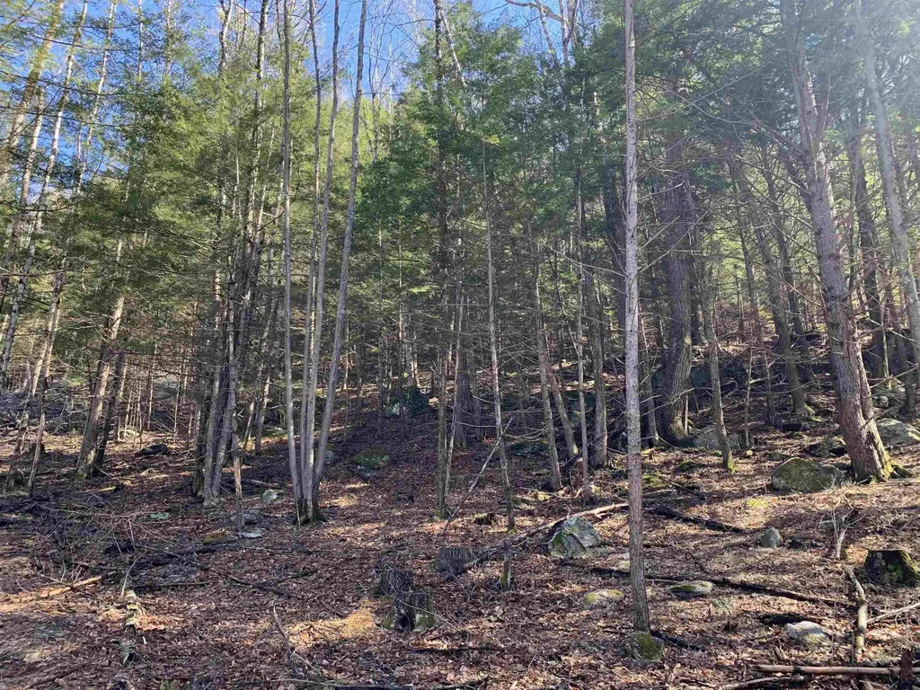MAP3 Lot9 Scotland Road Winchester NH 03470