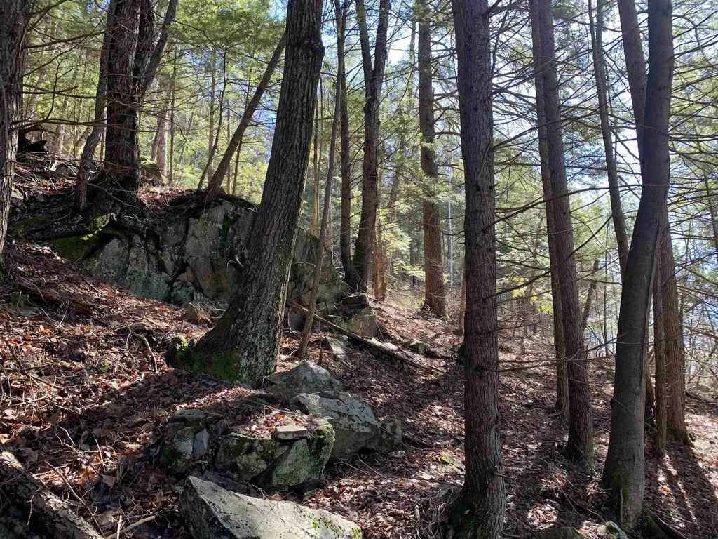 MAP3 Lot9 Scotland Road Winchester NH 03470