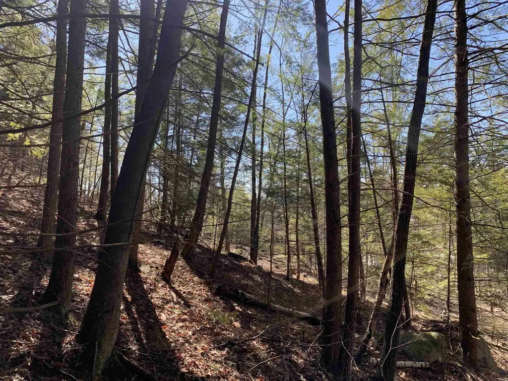 MAP3 Lot9 Scotland Road Winchester NH 03470
