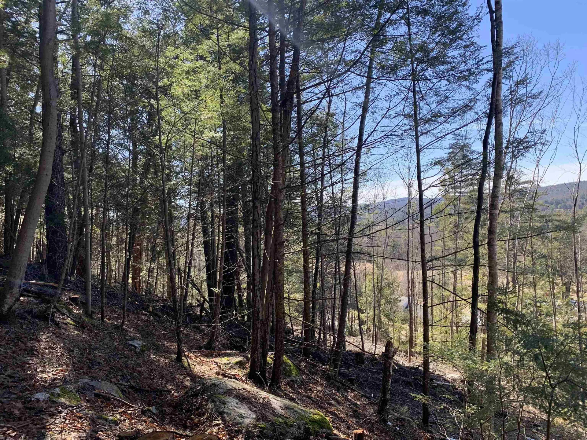 MAP3 Lot9 Scotland Road Winchester NH 03470