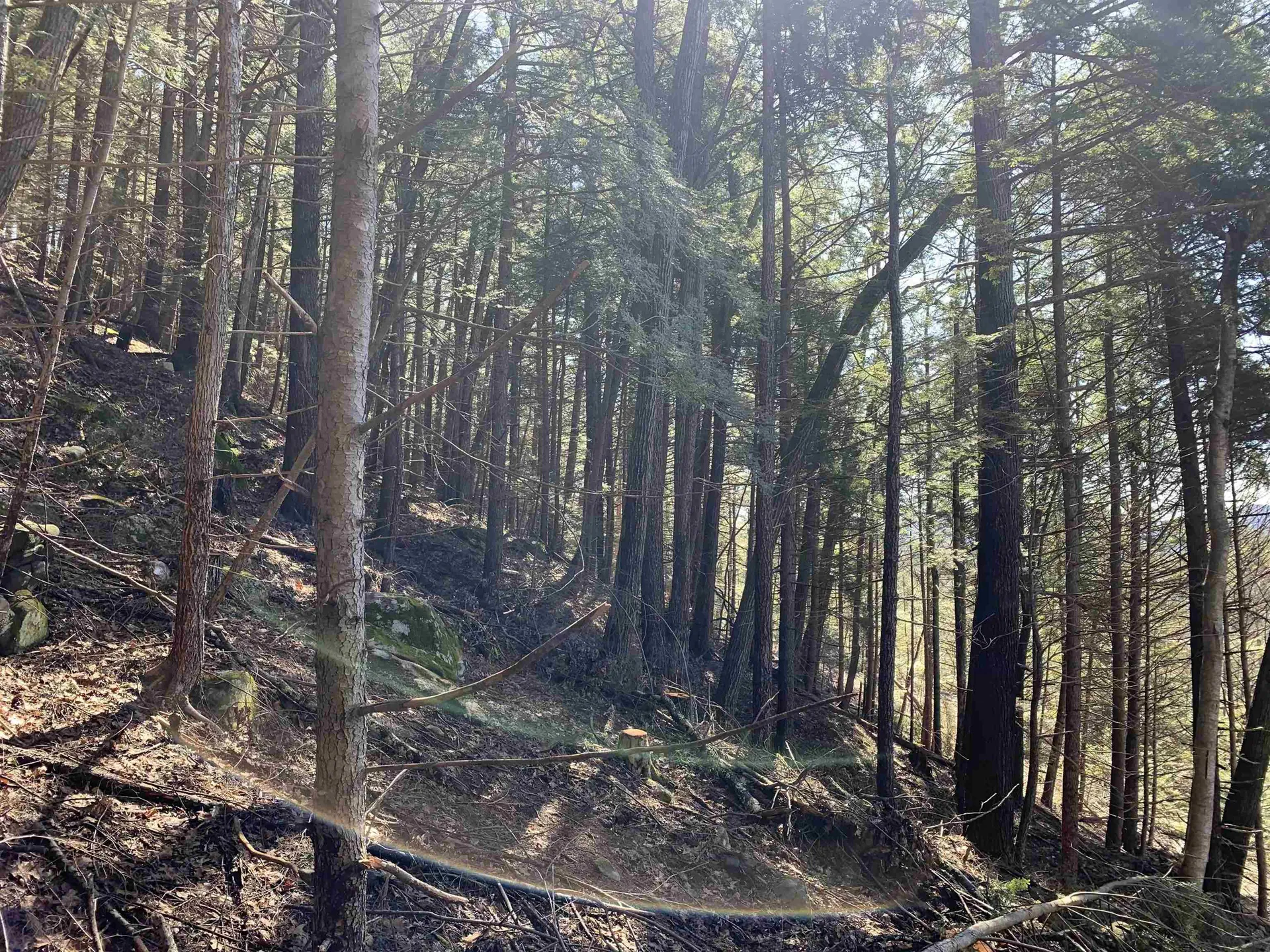 Map3 Lot9 Scotland Road Winchester NH 03470