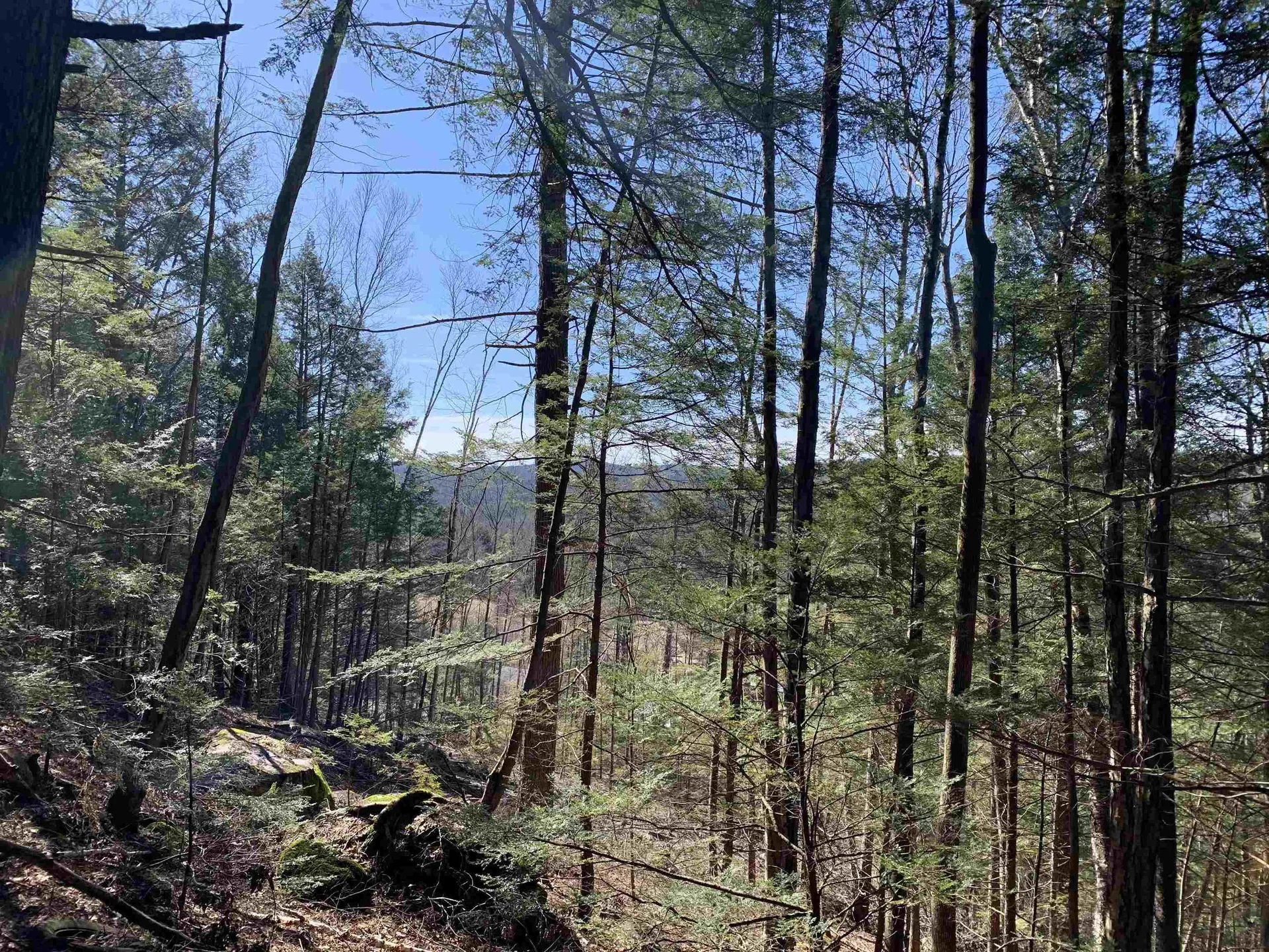 MAP3 Lot9 Scotland Road Winchester NH 03470