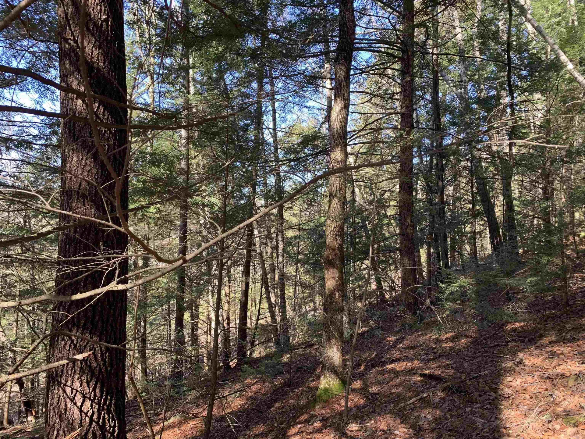 Map3 Lot9 Scotland Road Winchester NH 03470