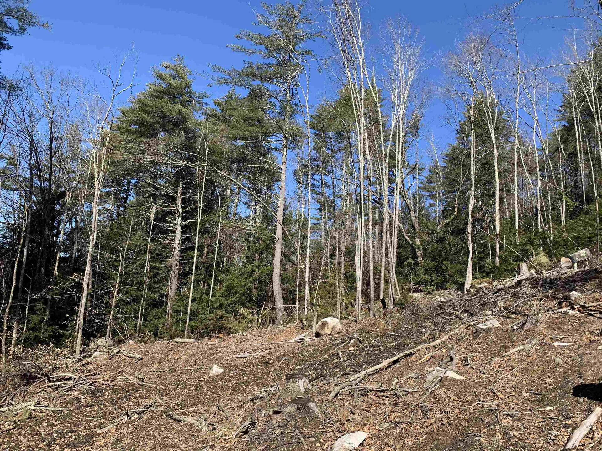 MAP3 Lot9 Scotland Road Winchester NH 03470