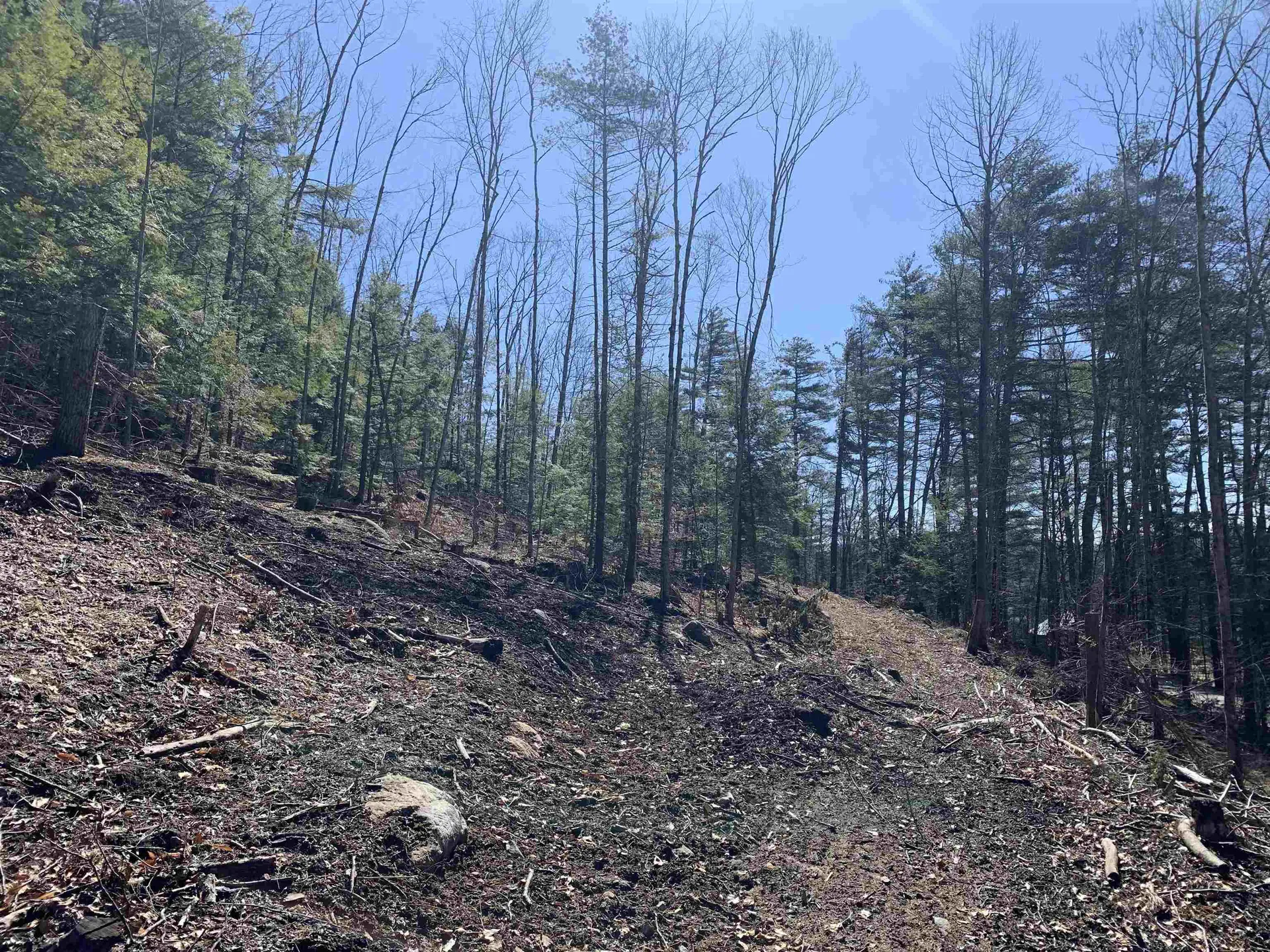 Map3 Lot9 Scotland Road Winchester NH 03470