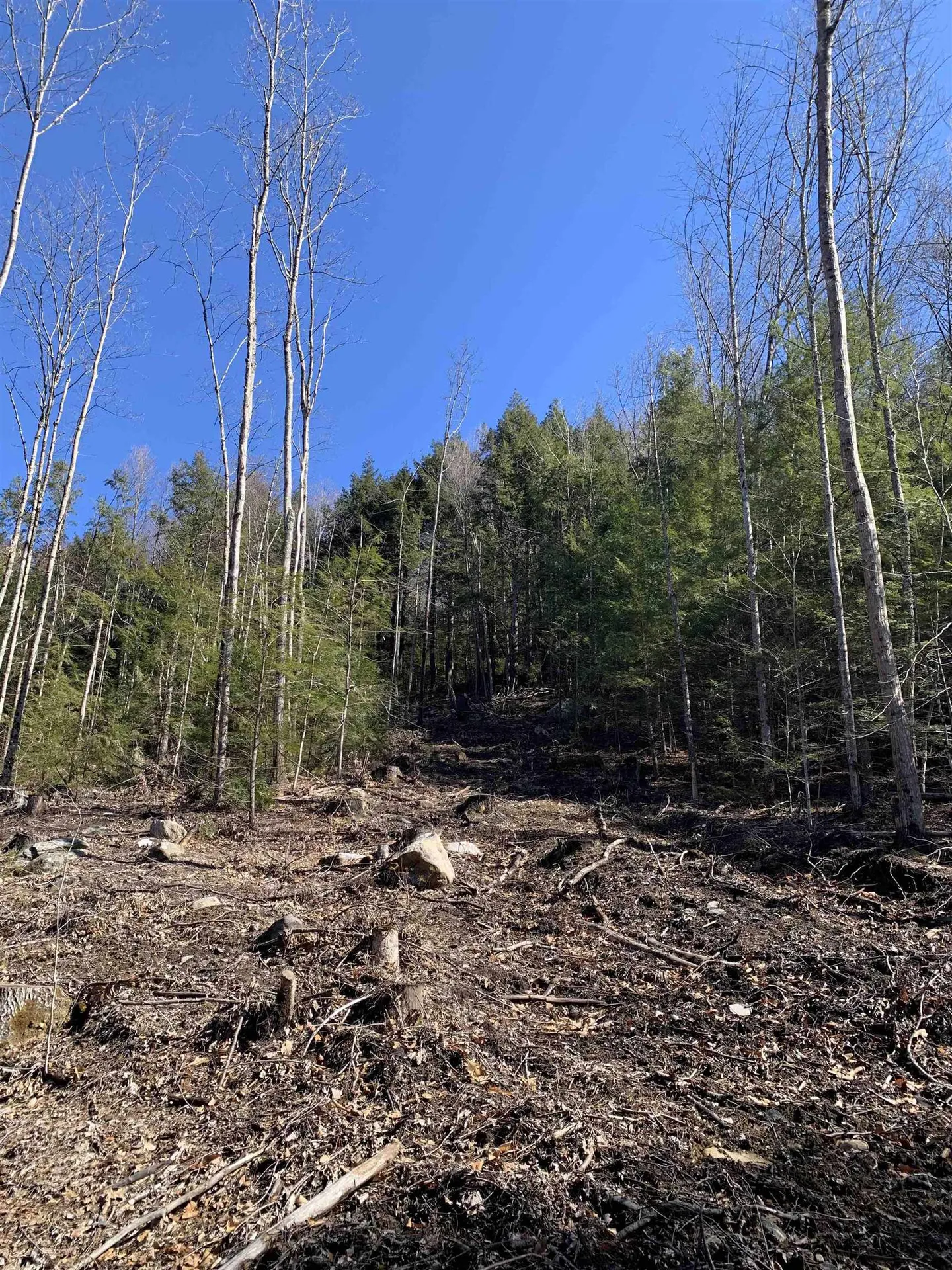 MAP3 Lot9 Scotland Road Winchester NH 03470