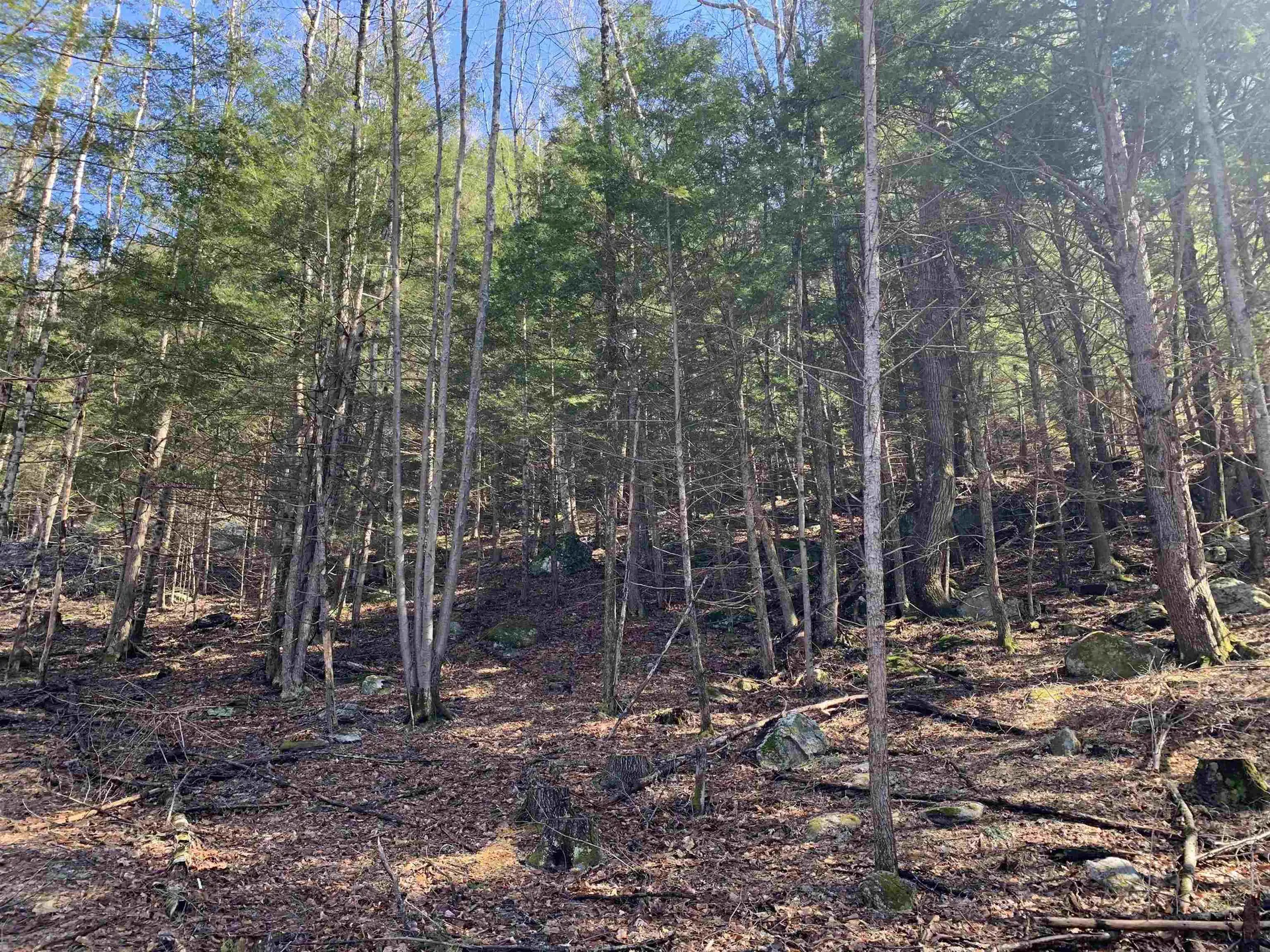 MAP3 Lot9 Scotland Road Winchester NH 03470