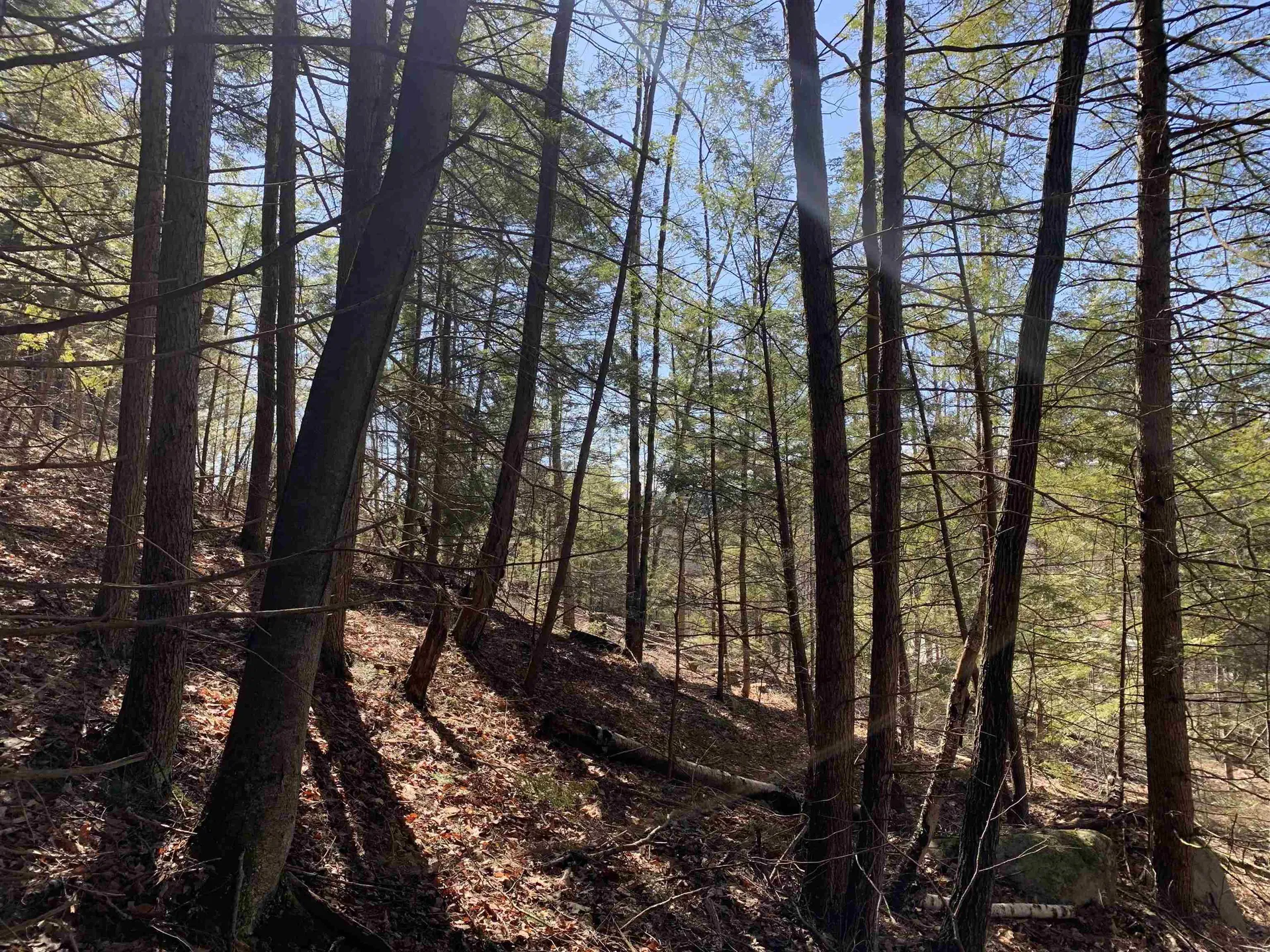 Map3 Lot9 Scotland Road Winchester NH 03470