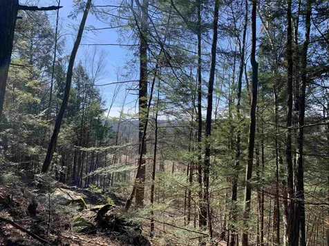 MAP3 Lot9 Scotland Road Winchester NH 03470