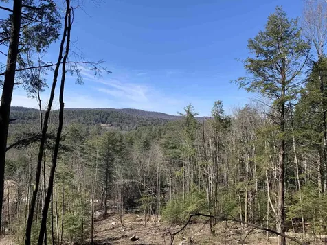 MAP3 Lot9 Scotland Road Winchester NH 03470