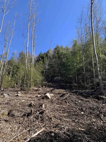 MAP3 Lot9 Scotland Road Winchester NH 03470
