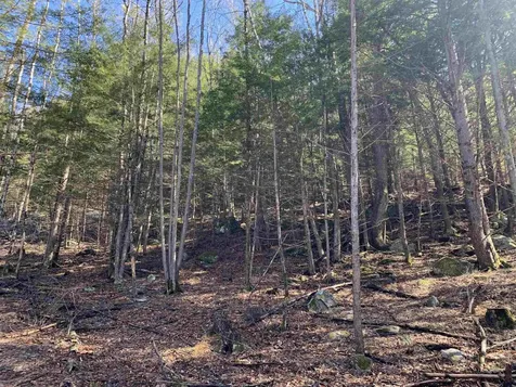 MAP3 Lot9 Scotland Road Winchester NH 03470