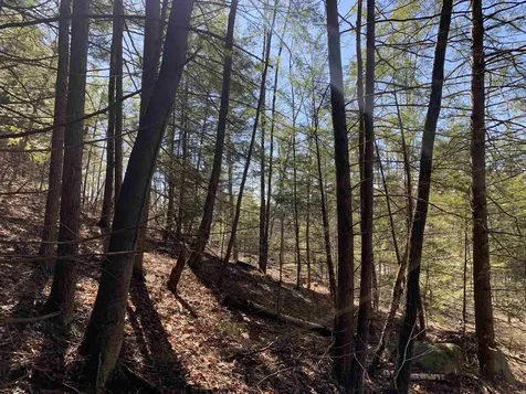 MAP3 Lot9 Scotland Road Winchester NH 03470