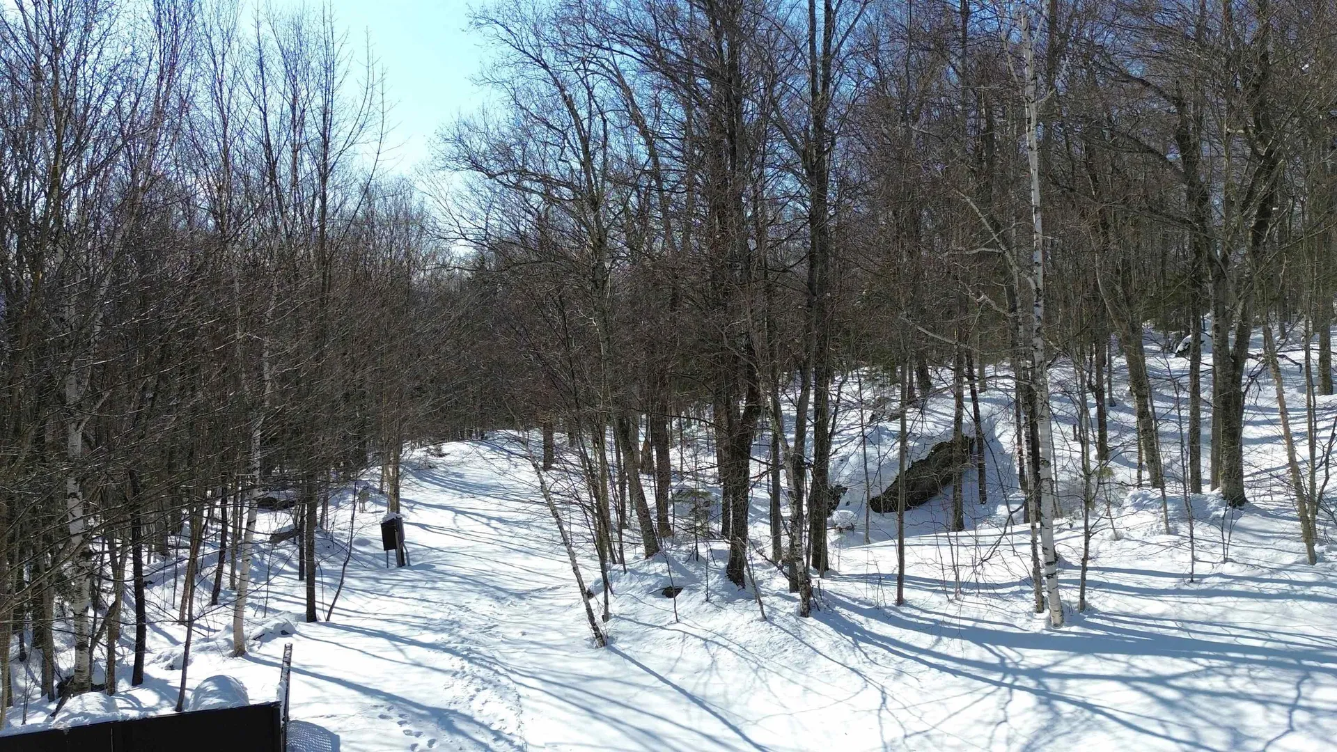 546 South Village Boulevard Warren VT 05674