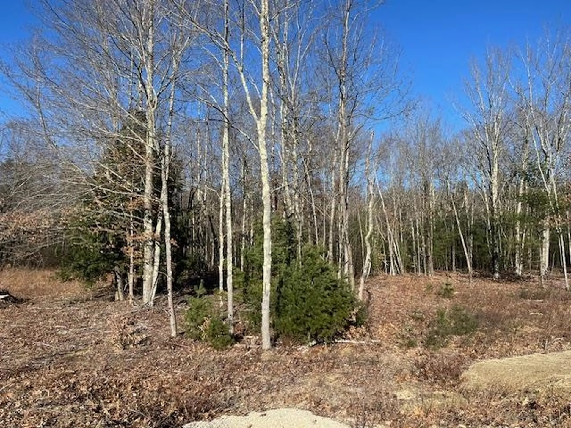 10-11 Peterson Road Rochester NH 03839