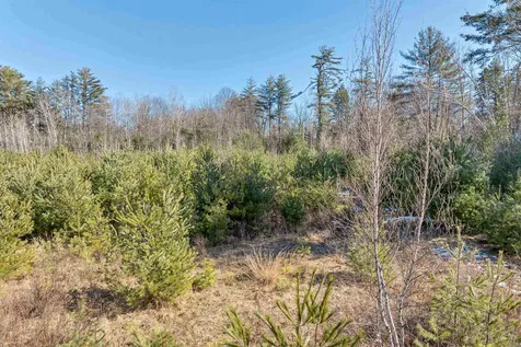 88-1 Stevens Road Effingham NH 03882