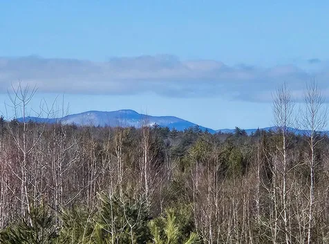 88-1 Stevens Road Effingham NH 03882