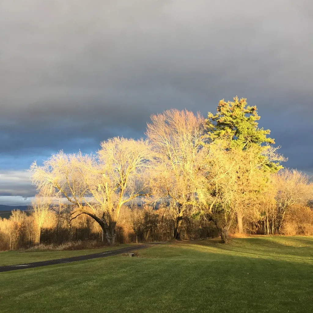 421 N. Bingham Street Cornwall VT 05753