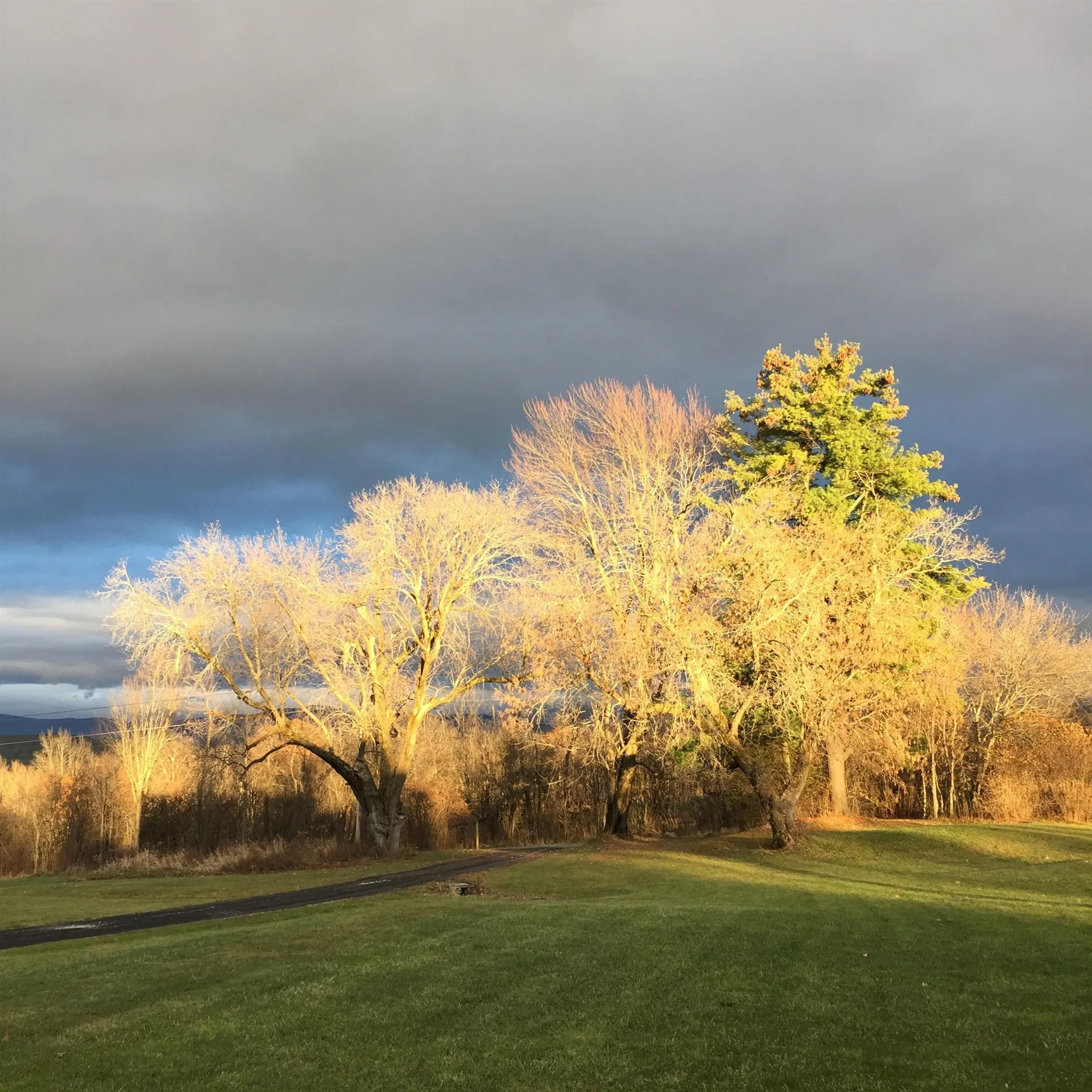 421 N. Bingham Street Cornwall VT 05753