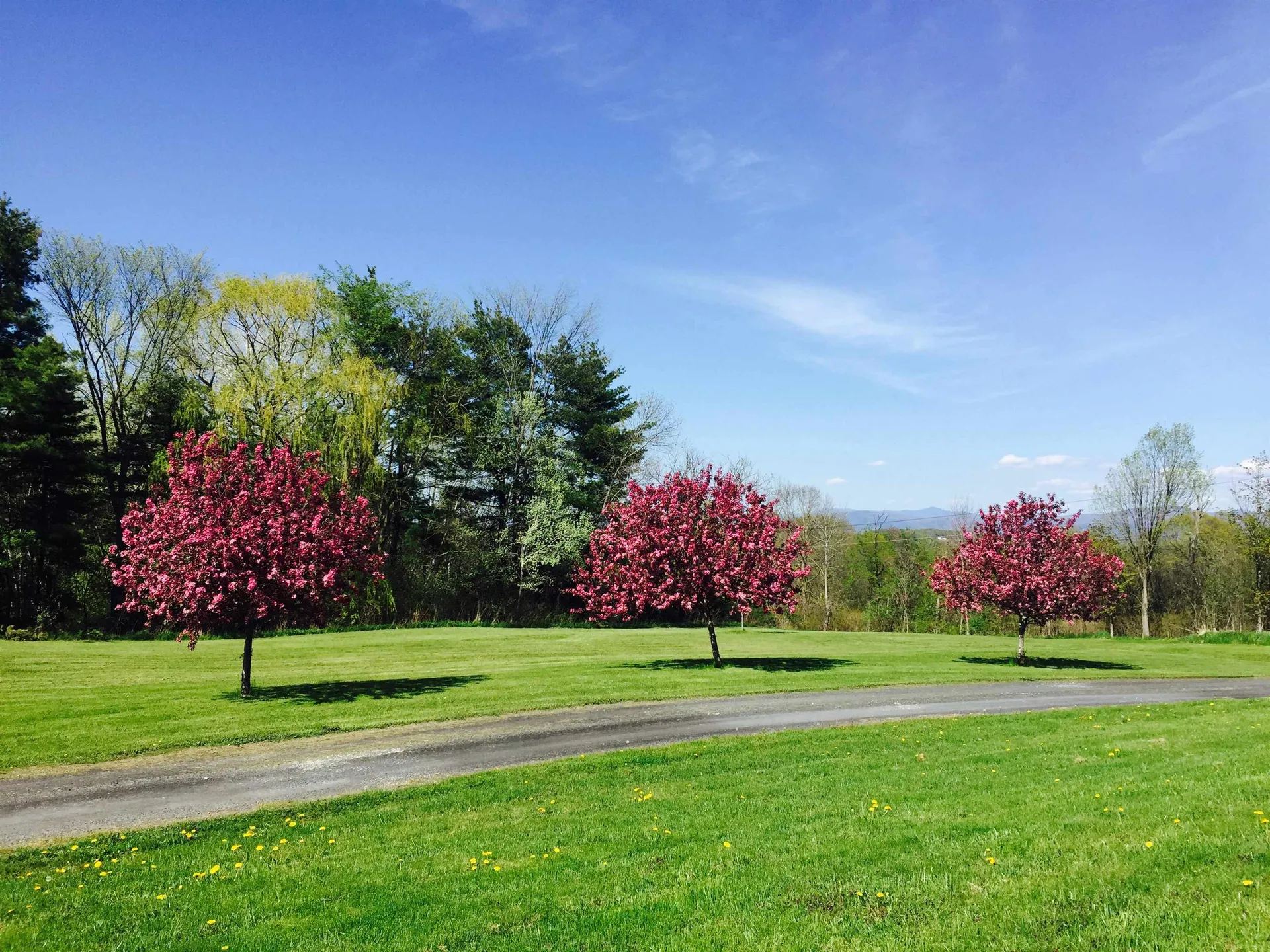 421 N. Bingham Street Cornwall VT 05753