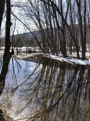 755 Whittier Road Tamworth NH 03886