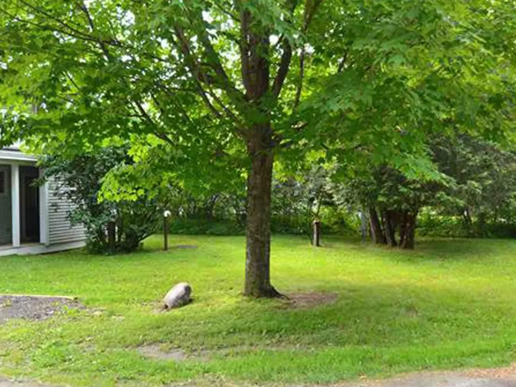 100 Dugway Road Waitsfield VT 05673