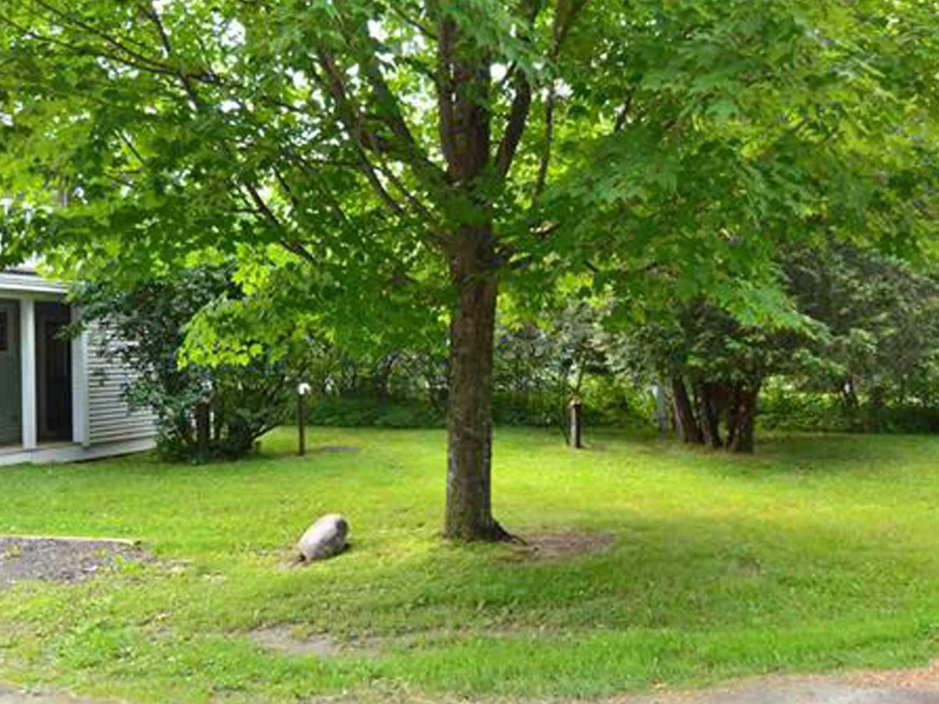 100 Dugway Road Waitsfield VT 05673