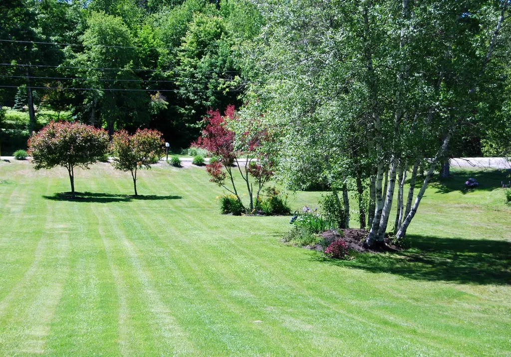 354 Upper Birch Drive Bristol NH 03222