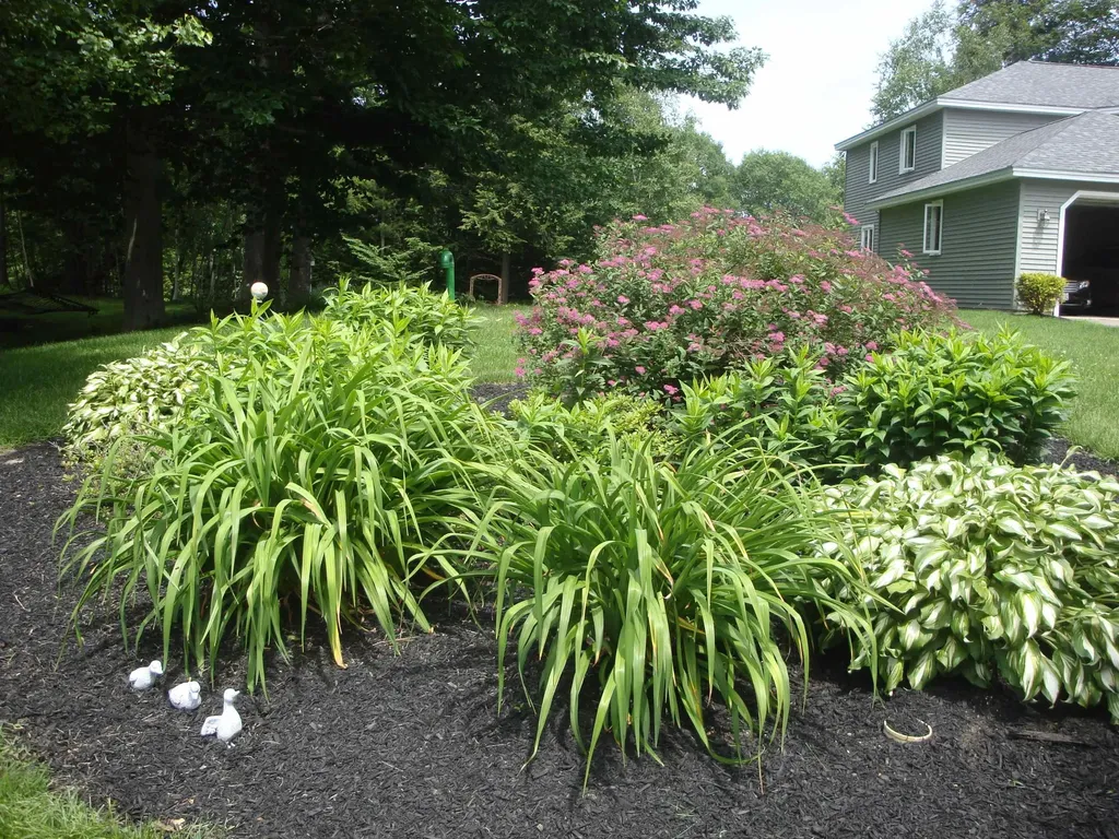 354 Upper Birch Drive Bristol NH 03222