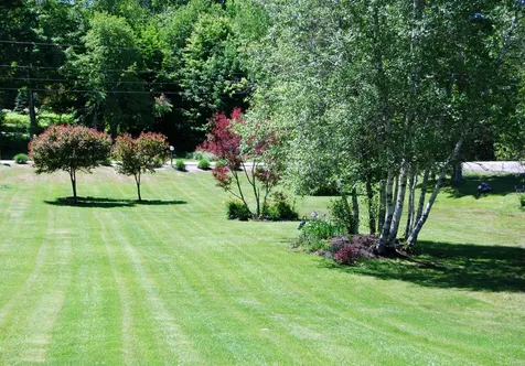 354 Upper Birch Drive Bristol NH 03222