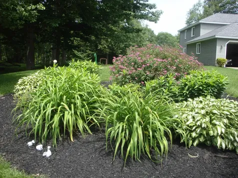 354 Upper Birch Drive Bristol NH 03222