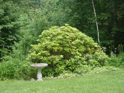 354 Upper Birch Drive Bristol NH 03222