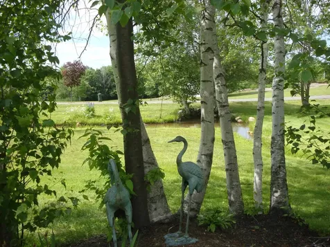 354 Upper Birch Drive Bristol NH 03222